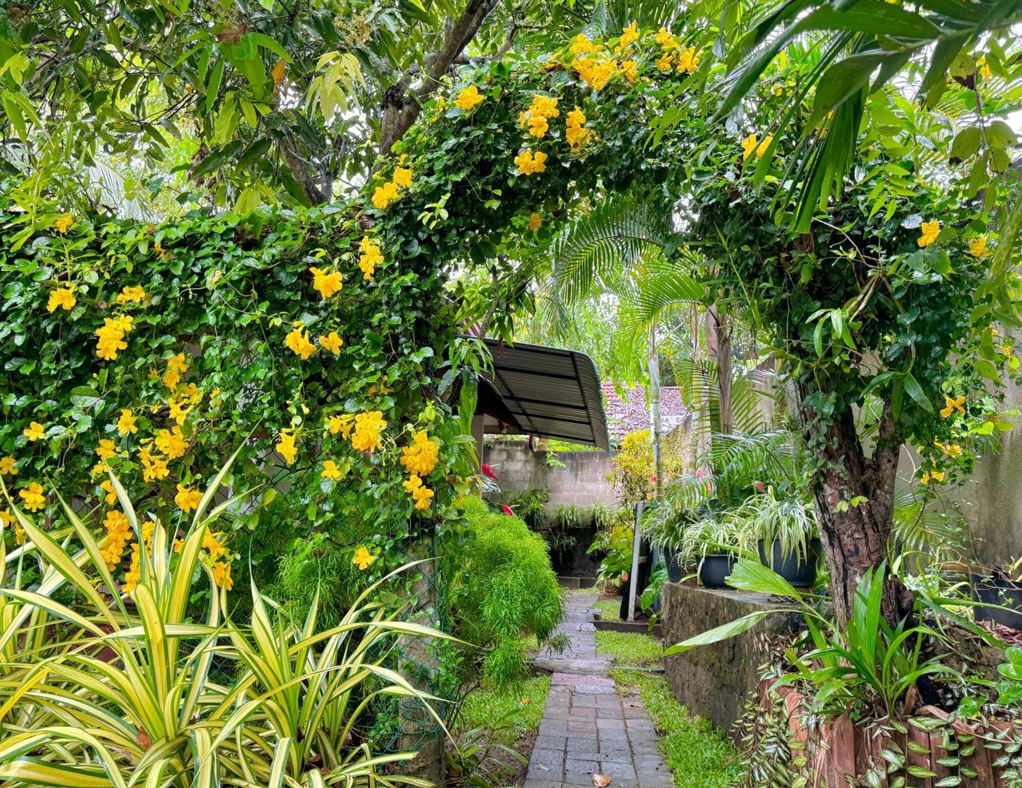 Nethmi Homestay & Restaurant Tangalle Buitenkant foto