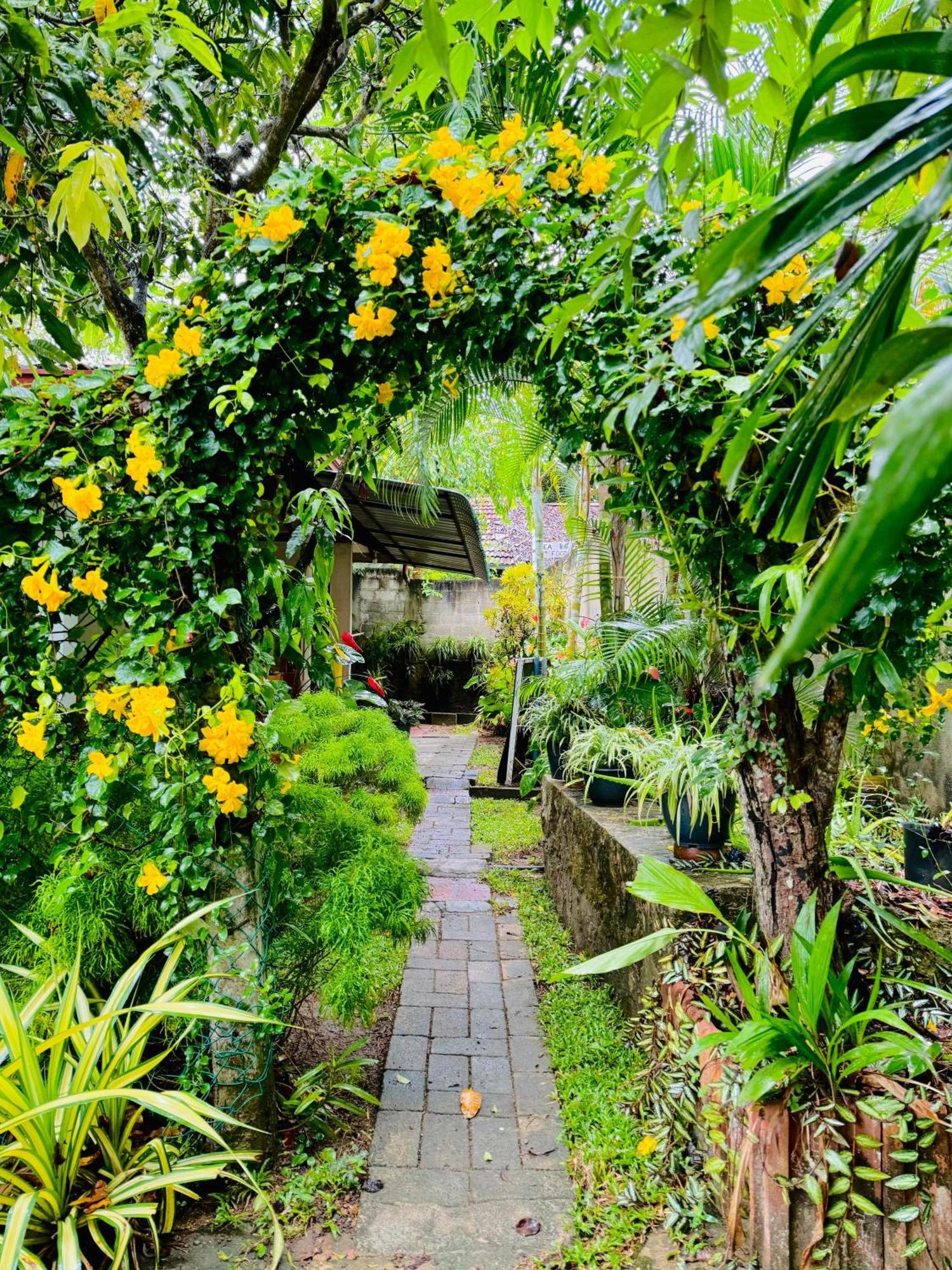 Nethmi Homestay & Restaurant Tangalle Buitenkant foto